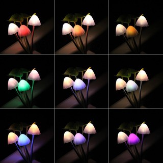 Đèn ngủ LED hình cây nấm độc đáo