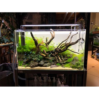 Đèn Led ODYSSEA SLIM X ÁNH SÁNG 10000K