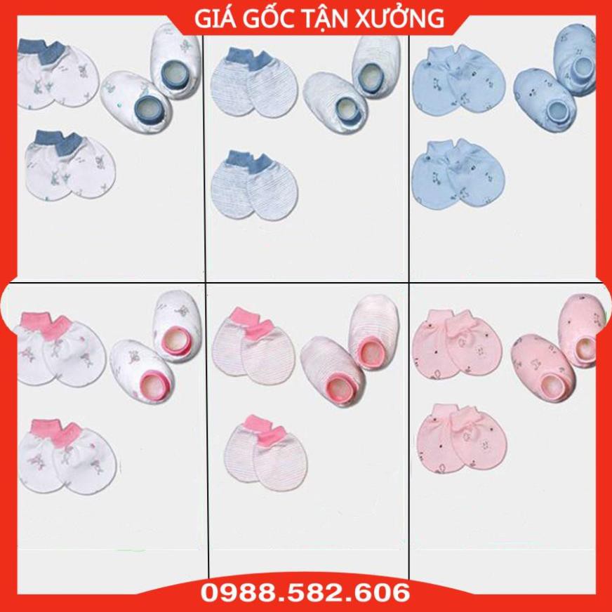 Bộ Bao Tay Chân MioMio Cho Bé Trai Và Bé Gái (Gồm Sét 1 Túi Bao Tay + 1 Túi Bao Chân) - Mio Việt Nam