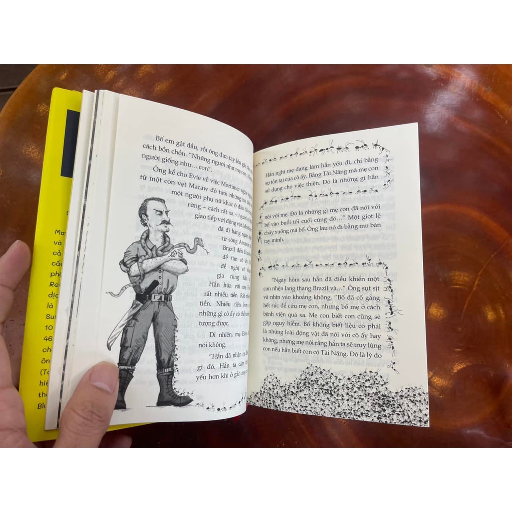 Sách - Evie Và Biệt Tài Bí Mật (Bìa Cứng) (Bình Book)