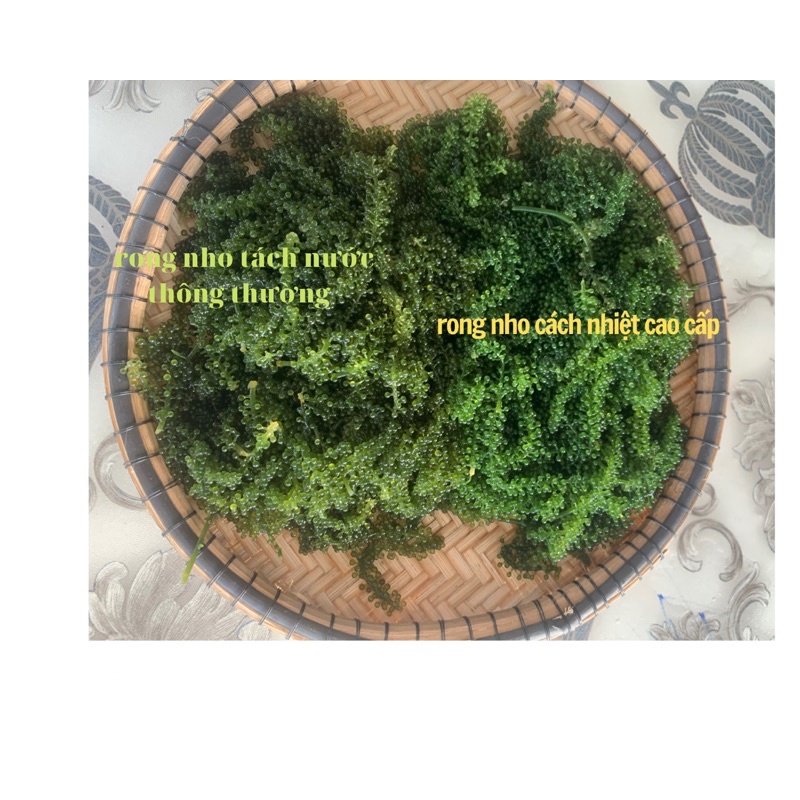 100g rong nho cao cấp hàng xuất khẩu💞freeship💞 công nghệ nhật bản( rong cách nhiệt )/ tặng sốt mè rang | BigBuy360 - bigbuy360.vn