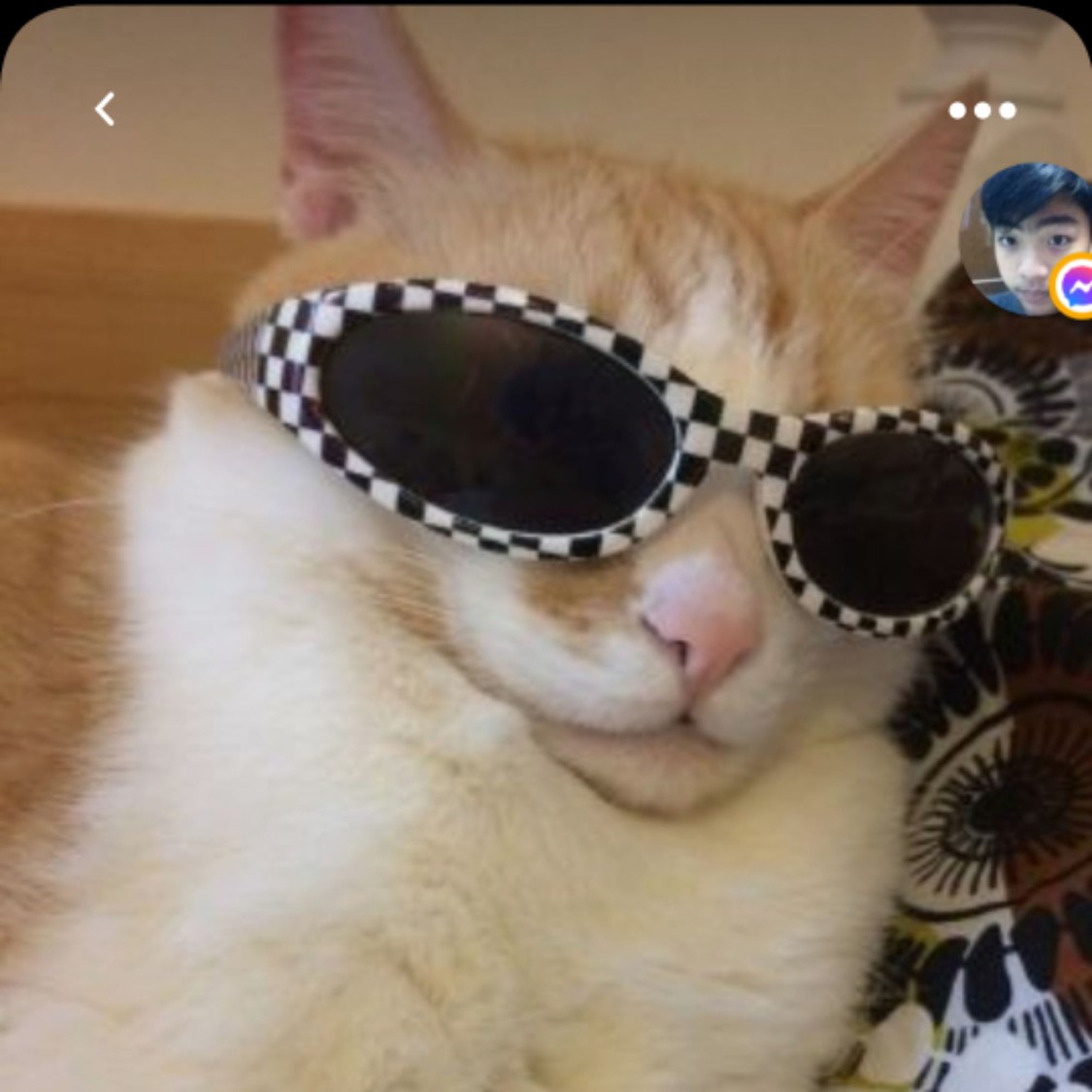✨Minou officer ✨