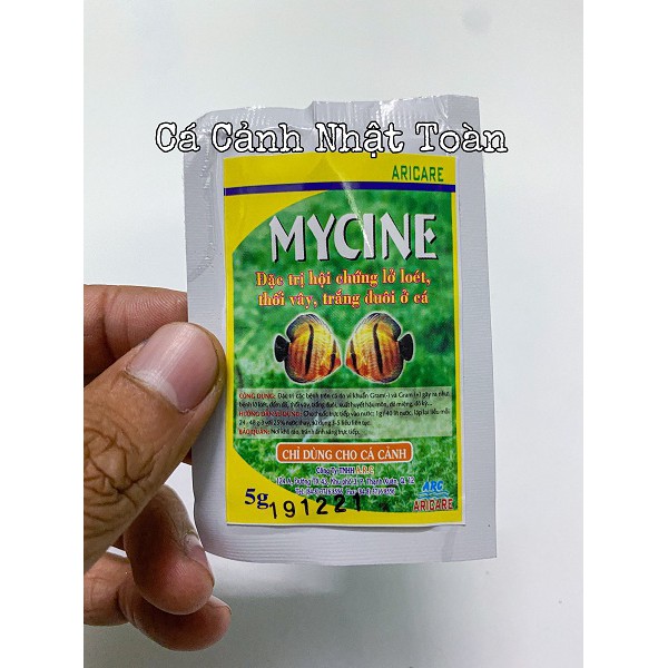 MYCINE LỠ LOÉT THỐI VÂY MỤC ĐUÔI CHO CÁ CẢNH ARC 5G