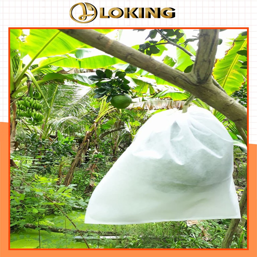[25x30cm] 100 Túi Bọc Trái Cây Bưởi Diễn Có Dây Buộc - LOKING