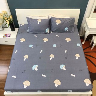 Ga Lẻ Chất Coton 100% kèm đôi vỏ gối ( ảnh thật)