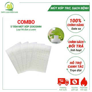 Bộ 5 Tấm Mút Xốp Trồng Rau Thủy Canh | Mút Xốp Ươm Hạt Loại 25x25mm ~ 500 đơn vị ươm MX96