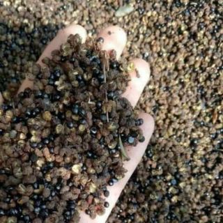 100g Hạt mắc khén loại 1