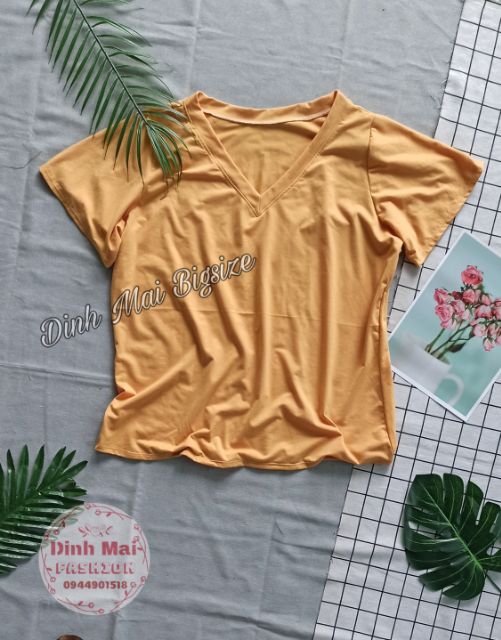 [Hình thật] Áo cổ tim bigsize form thường bảng màu siu ngọt (freesize 60-90kg) | BigBuy360 - bigbuy360.vn