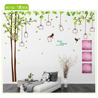 decal dán tường cây xanh khung ảnh