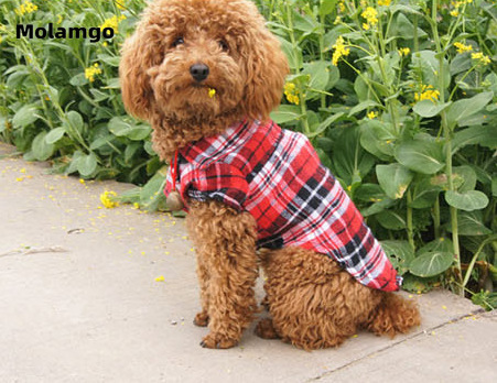 Áo Sơ Mi Kẻ Sọc Ca Rô Thời Trang Dành Cho Thú Cưng