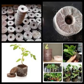 Viên nén sơ dừa hàng đẹp 50 viên