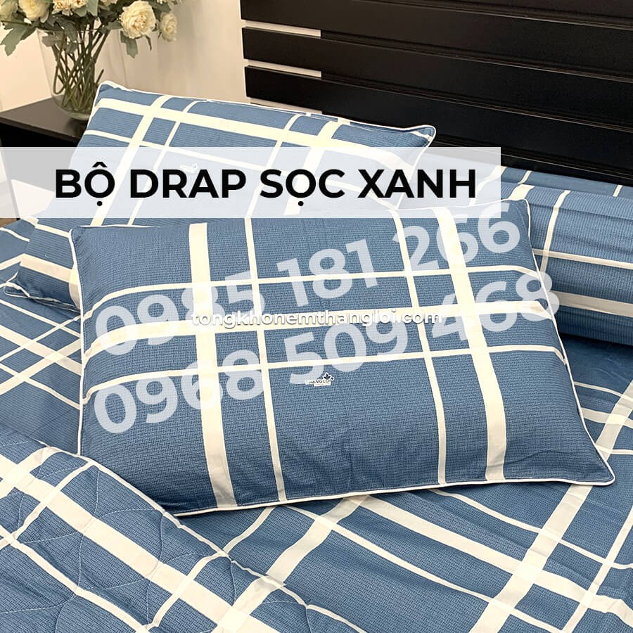 [Ảnh Thật] Sọc Xanh - Bộ Drap Cotton 4 món Thắng Lợi Chính Hãng