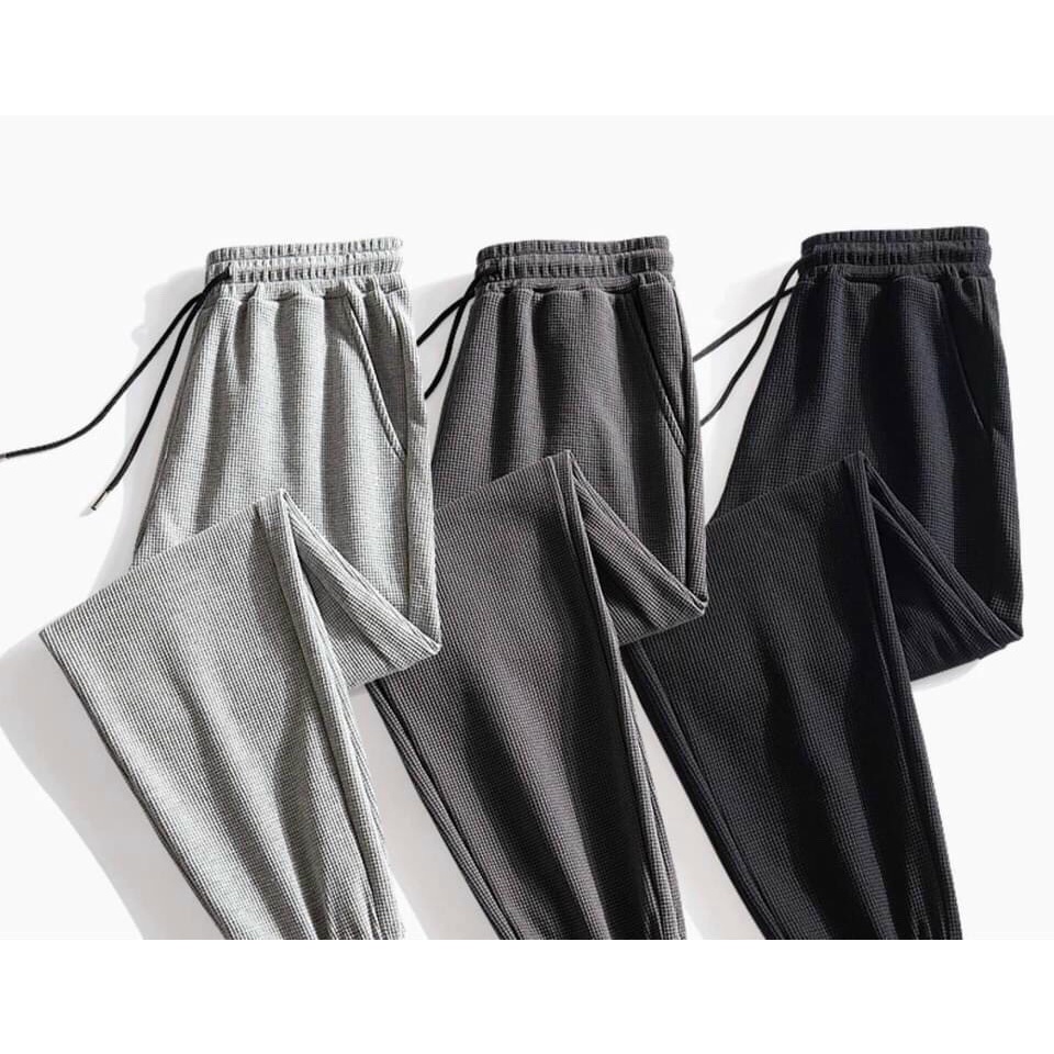 Quần Jogger nhung tăm ZATA 5 màu S1