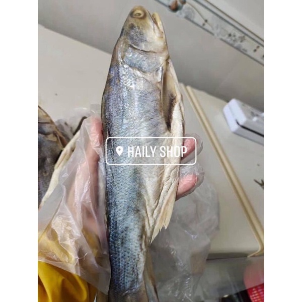 CÁ CHÉT ĐẶC SẢN CÀ MAU 3CON/1KG