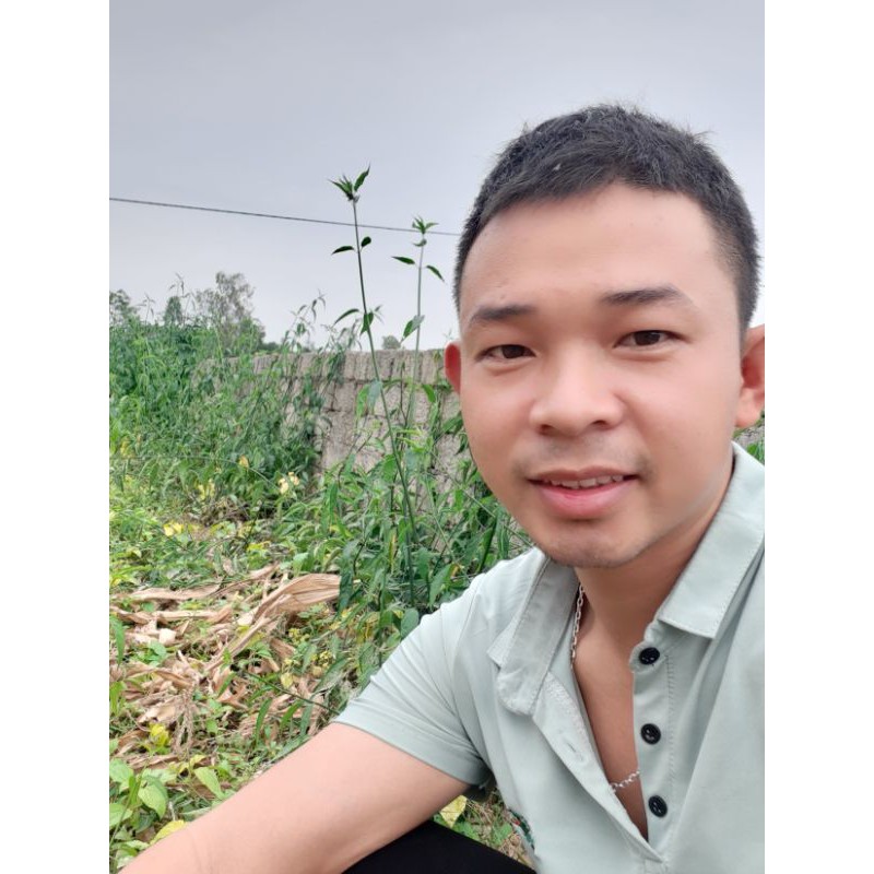 Cây xương khỉ