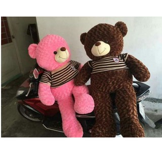 Gấu Teddy cao 1m