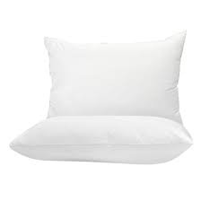 Ruột gối nằm bông hạt cao cấp