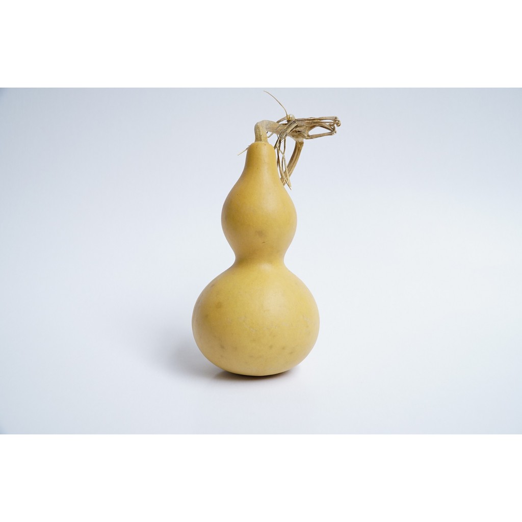 Bầu hồ lô phong thủy trắng nguyên trái nguyên cuống tài lộc | BigBuy360 - bigbuy360.vn