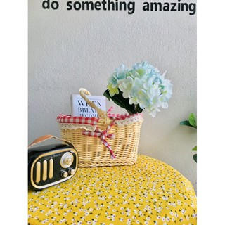 Giỏ Picnic Mini Lót Vải