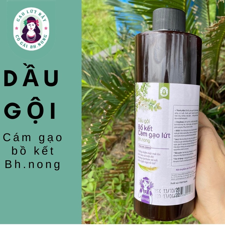 Dầu Gội Bồ Kết Thảo Dược  Cám Gạo Lứt Sạch Gàu Giảm Ngứa Nấm Da Đầu Giảm Rụng Tóc Cô Gái Bh.nong 500ml