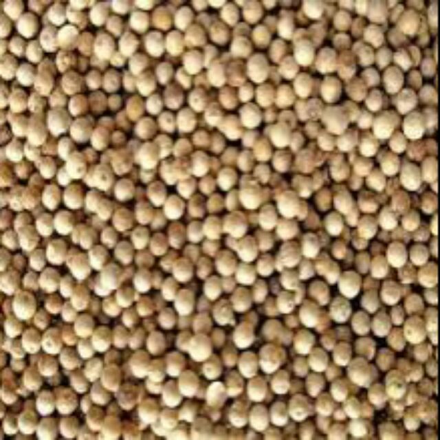 1KG - TIÊU SỌ TRẮNG