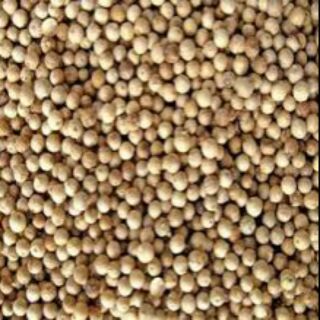 1kg - tiêu sọ trắng