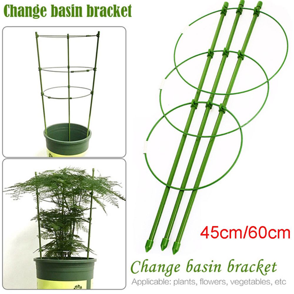 Khung Hỗ Trợ Trồng Cây Dây Leo Hàng Mới Tiện Lợi Dành Cho Vườn Nhà