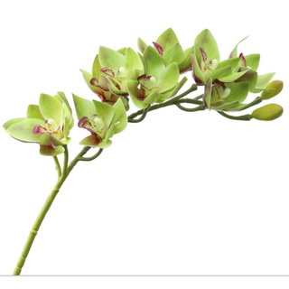 hoa ngọc lan - hoa lụa 3D cao cấp