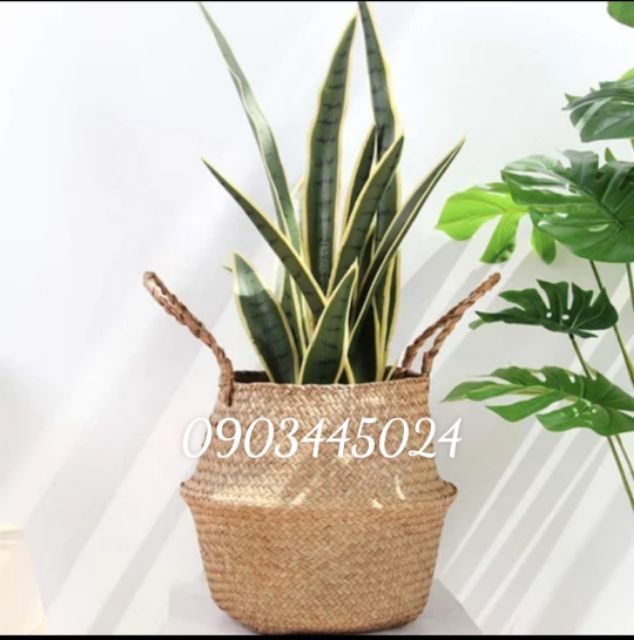 Giỏ Cói Trang Trí Rộng  Miệng 25cm-Giỏ Cói