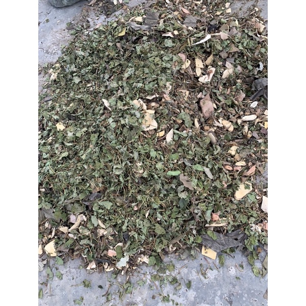 Lá Tắm Thảo Dược - Ngừa Các Bệnh Ngoài Da Viêm Da Cơ Địa, Dị Ứng, Ngứa, Bà Đẻ Sau sinh..