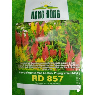 Hạt giống Hoa Mào gà đuôi phụng nhiều màu❤️FREESHIP XTRA❤️