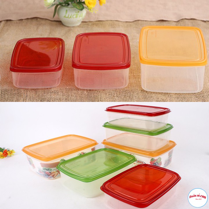 Bộ 3 Hộp Trữ Đông - Hộp Nhựa Đựng Thực Phẩm SONG LONG Nắp Nhiều Màu Sắc ( MS:2221) - br00318