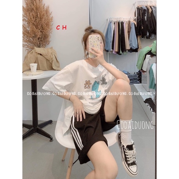 Sét áo khủng long gấu thỏ + quần đùi 3 sọc CO