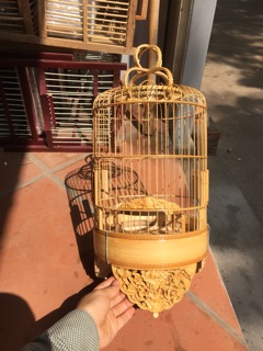 Lồng khuyên đục