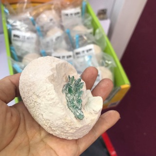 Trứng khủng long hoá thạch
