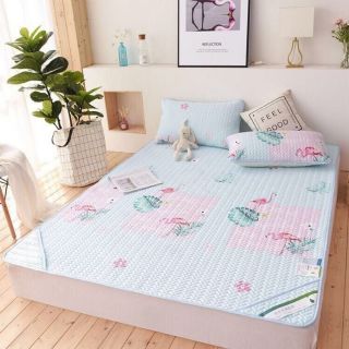 Chiếu Tencel hàng loại 1.