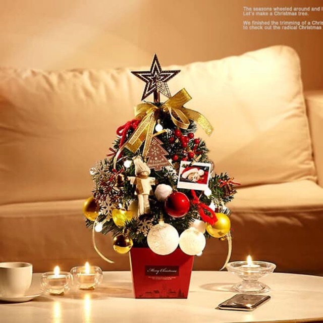 Cây thông noel ngoc hải