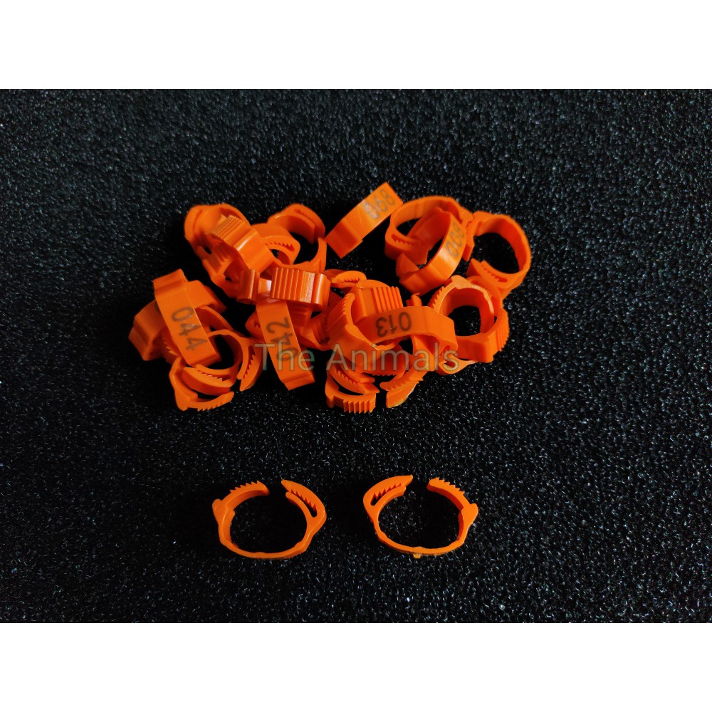 [Bich 100 cái] Vòng đeo chân cho gà, vịt, bồ câu