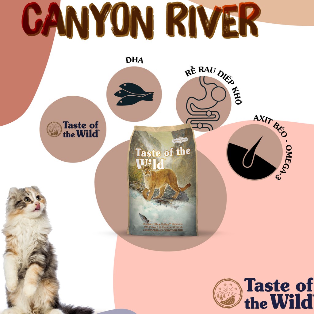 [DINH DƯỠNG CAO] Thức ăn hạt cho mèo 500g TASTE OF THE WILD CANYON RIVER vị Cá Hồi Vân &amp; Cá Hồi Xông Khói