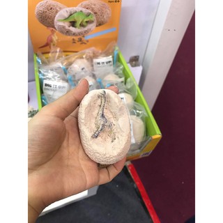 TRỨNG KHỦNG LONG HOÁ THẠCH - DINOSAUR EGGS - DIG IT UP!!! (combo 12 quả)