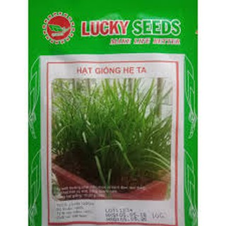 Hạt giống hẹ ta(10G)