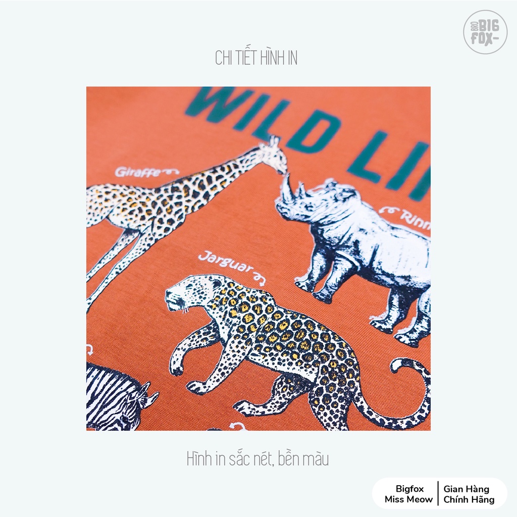 Áo phông bé trai Bigfox - Miss Meow mặc hè chất cotton mềm mịn in wild life size trẻ em 3,4,5,6,7,8,9,10,11 tuổi