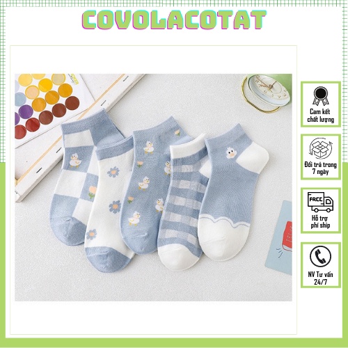 Vớ nữ cổ ngắn set 5 đôi phong cách hàn quốc chất cotton có túi zip covolacotat