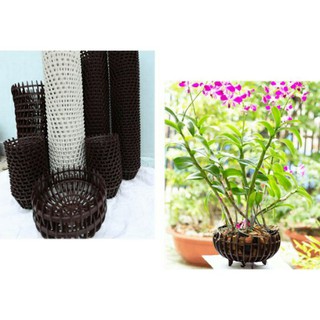 chậu nhựa trồng lan 30F