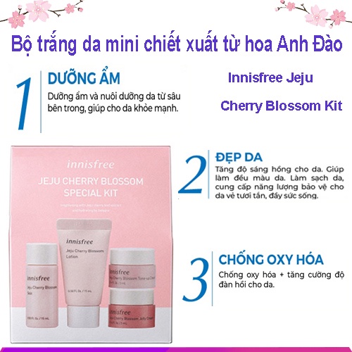 Kem Dưỡng Da Innisfree Bộ Mini Chiết Xuất Từ Hoa Anh Đào Jeju Cherry Blossom Kit