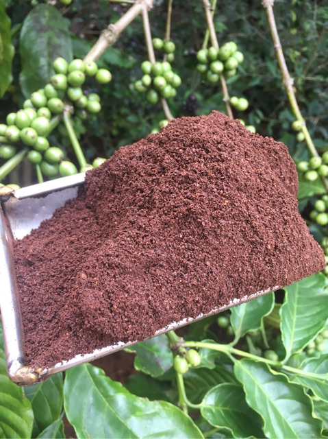 CAFE BỘT SẠCH ROBUSTA NGUYÊN CHẤT MIKA (500gr), giá sỉ và lẻ rẻ nhất Đăk Lăk cho loại cafe nguyên chất | BigBuy360 - bigbuy360.vn