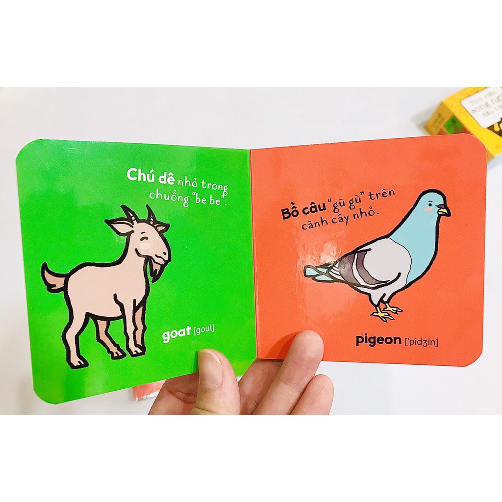 Sách - Thư viện song ngữ đầu tiên (Bộ 06 cuốn)