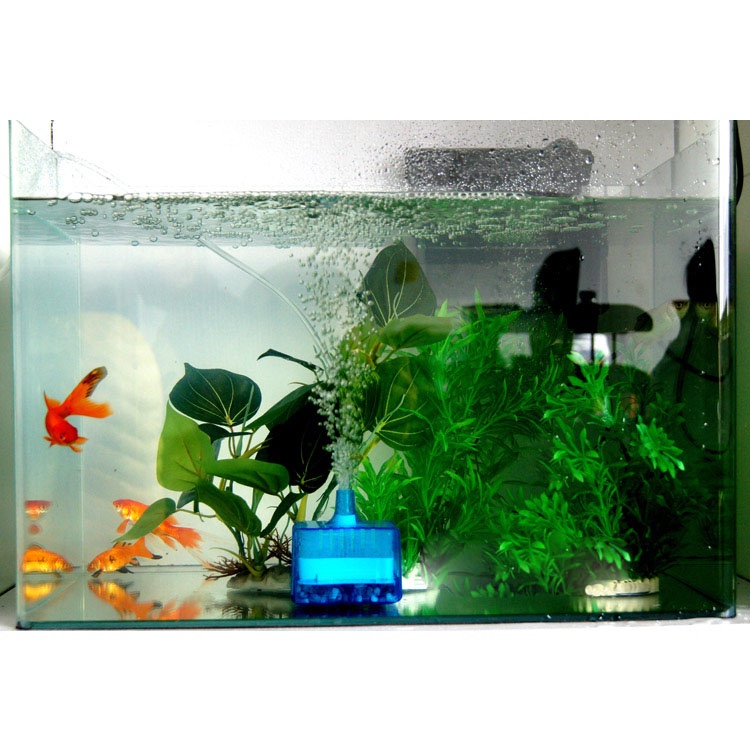 Bộ Lọc Khí Sinh Học Mini Nâng Lọc Nước Bể Cá Chống Khí Nén