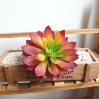 Hoa giả - Sen đá giả trang trí nhà cửa, cắm hoa để bàn siêu xinh, tạo không gian xanh mát