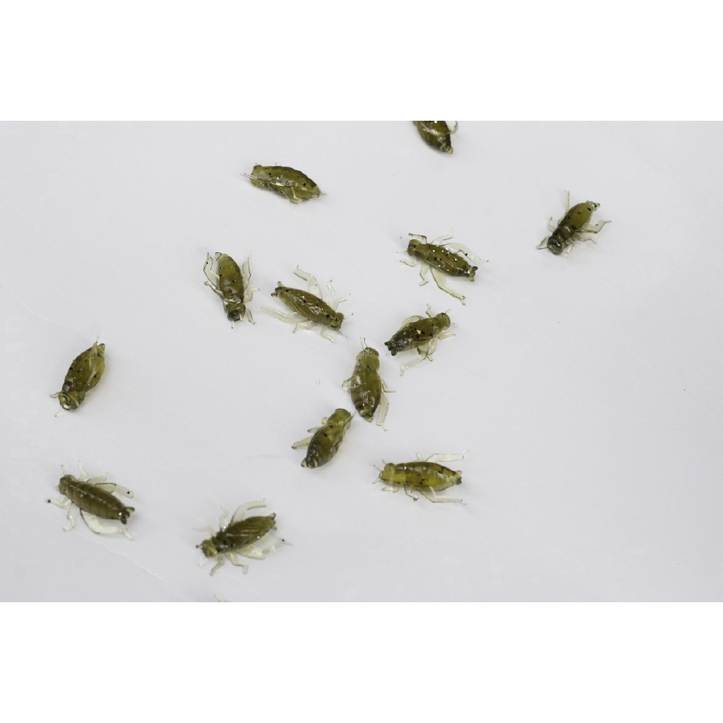 Bộ 50 Mồi Câu Cá Giả Hình Côn Trùng